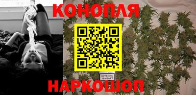 гашик Заводоуковск