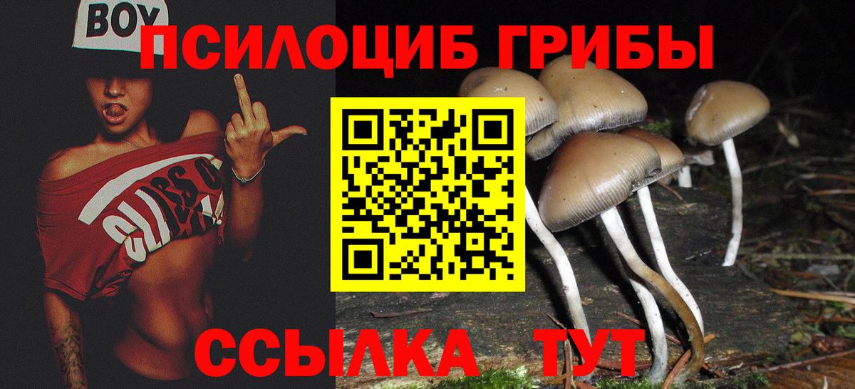 Лангепас  Псилоцибиновые грибы мухоморы  Вход с VPN 